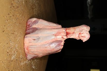 Picture of Beef Shank; Thor's Hammer